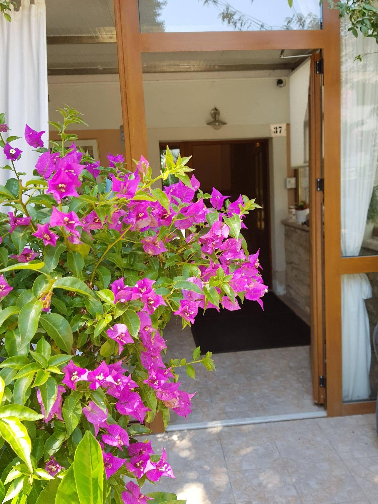 Boutique Hotel Santa Maria Novigrad Istria Exterior foto